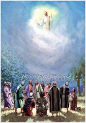 jesus-ascending-into-heaven-1 - jesus-ascending-into-heaven-1.jpg