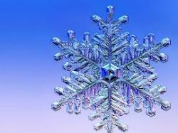 snow crystal - snow crystal.jpg