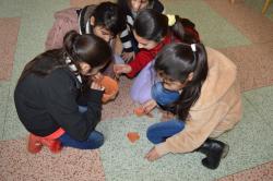 DSC_0700.JPG - 