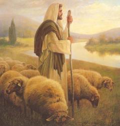 dobrý pastier - dobrý pastier.jpg