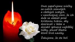 VsetSv11.jpg -