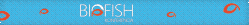 konferenciabigfish.gif -