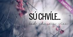 suchvile1.jpg - 