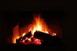 DSC_1800 - 