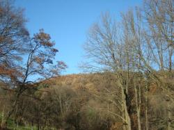 DSC07634 - DSC07634.JPG