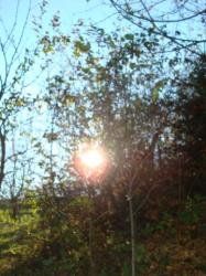 DSC07643 - DSC07643.JPG