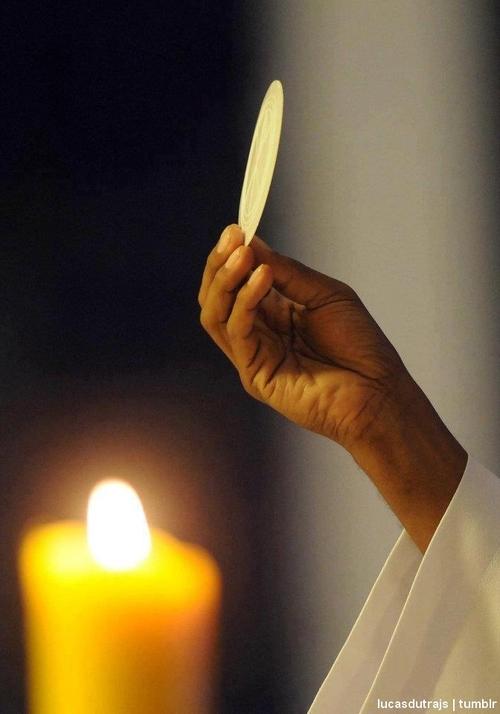 NASLEDOVANIE KRISTA IV 10