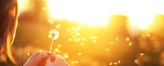 Krása dobrej zvesti