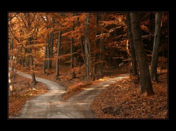 Víkend-objavovanie svojho srdca!