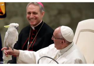 Vianočná generálna audiencia pápeža Františka: Abrahám ako vzor viery a nádeje