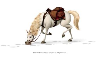 Humor v našich kruhoch