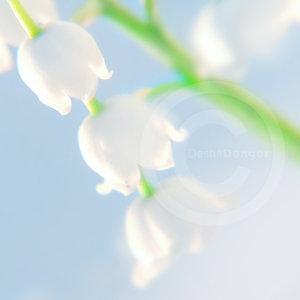 Čo žiada Pán od teba