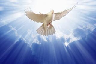Deviatnik k Duchu Svätému 5. deň Duch Svätý- Duch slobody