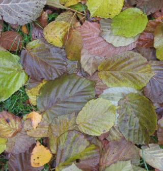 1. Ako bojovať proti smútku a znechuteniu