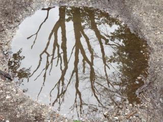 2. AKÉ SÚ PRÍČINY SMÚTKU?  ČO DLHODOBÝ SMÚTOK SPÔSOBUJE?