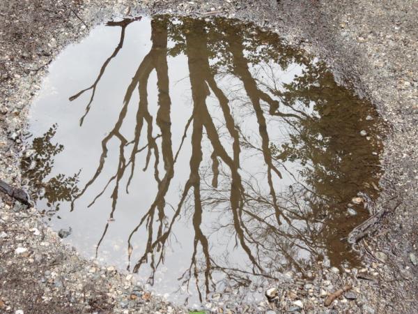 2. AKÉ SÚ PRÍČINY SMÚTKU?  ČO DLHODOBÝ SMÚTOK SPÔSOBUJE?