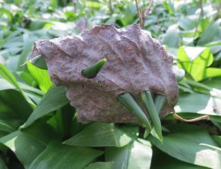 3. Aké sú príčiny znechutenia? Čo dlhodobé znechutenie spôsobuje?  Existuje aj užitočný smútok a znechutenie?