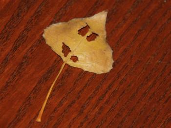 Vďačný utorok: Hodnota maličkostí