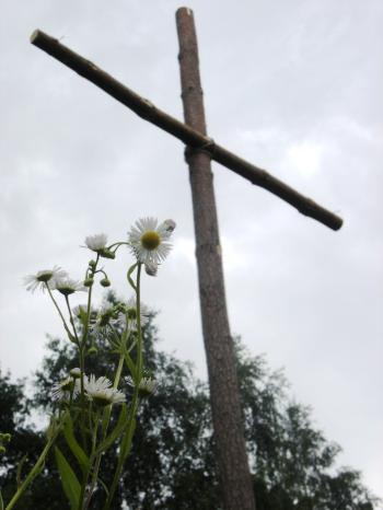 Bláznovstvo kríža