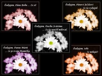 Žalm 16- 13.nedeľa v roku