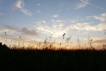 Čo pre mňa znamená pôst.