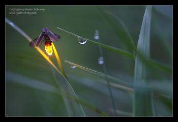 Ak nebudete ako deti.....