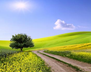 Ďakujem za radosť, ktorá prichádza