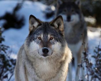Nepozerajme preč od problémov!