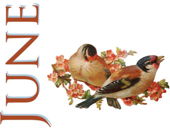 Počítanie božích darov: Jún