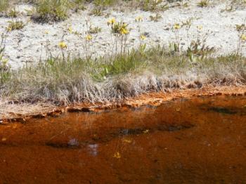 Yellowstone